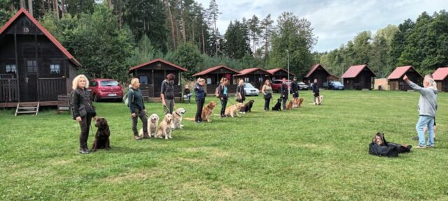 549471274_1237478031514739_3238760197912220299_n