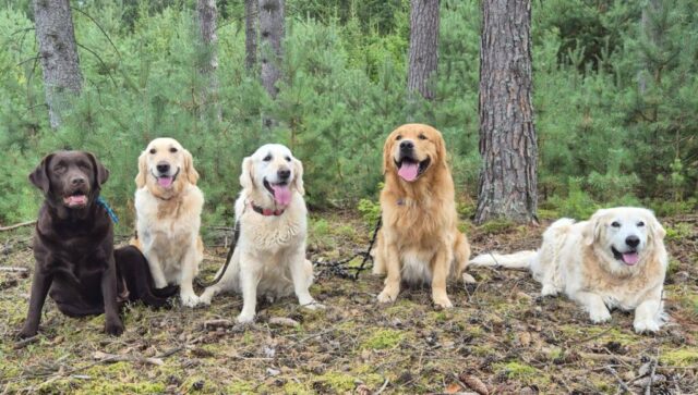 549471919_1237476144848261_8656274031296387761_n