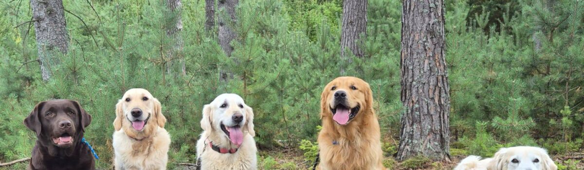 Výcvikový kemp IV | 11. – 14.9.2025