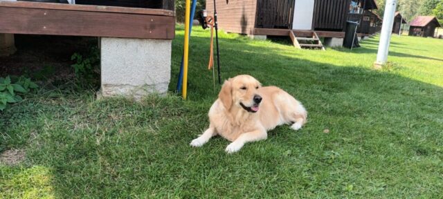 549561085_1237477941514748_912479966456717740_n