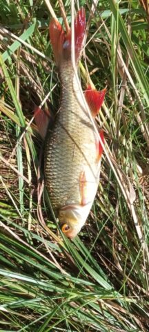 549605803_1237477671514775_3422570419756786075_n