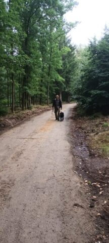 550085075_1237477768181432_5744887407185900079_n