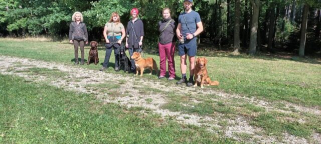 550467193_1237477568181452_6832204032660190210_n