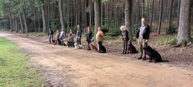 551041073_1237477141514828_8344309881370277312_n