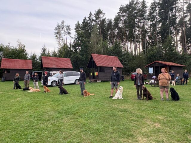 552503840_1237476478181561_3518175100428468776_n