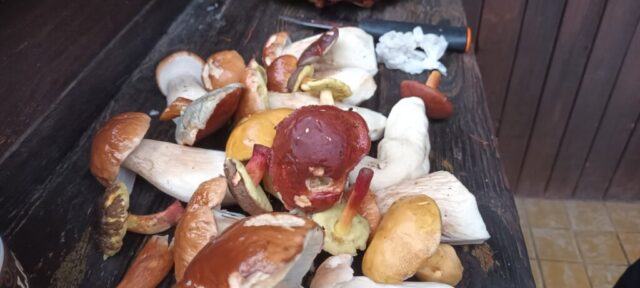 560014225_1264156855513523_3318612137710709859_n