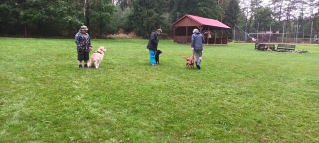 565630517_1264157488846793_3969571892608972312_n