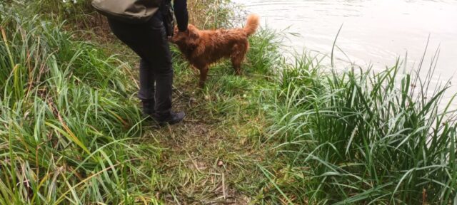 565745593_1264156525513556_7360964092637401048_n