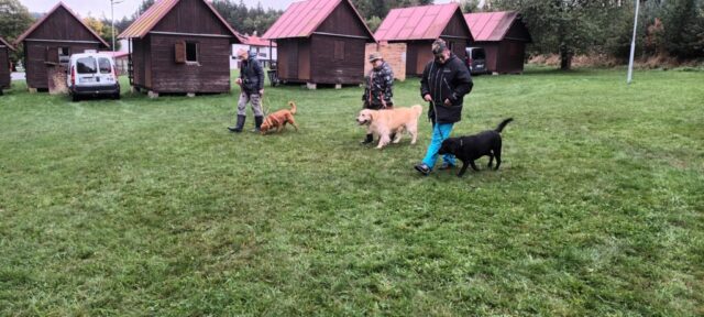 565796158_1264157125513496_1899523585744849977_n