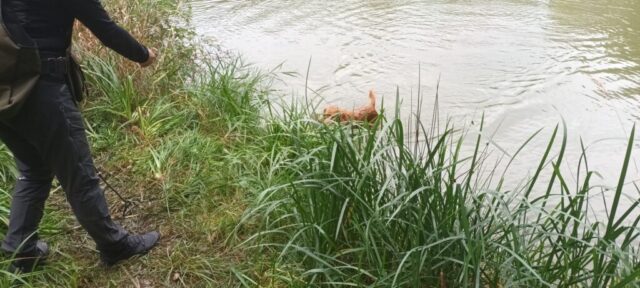 566196008_1264156405513568_3303710928349330439_n