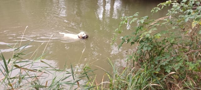 566201434_1264156058846936_5166095535527867683_n