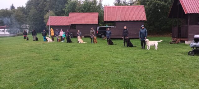 566207607_1264157232180152_5644265871963460087_n