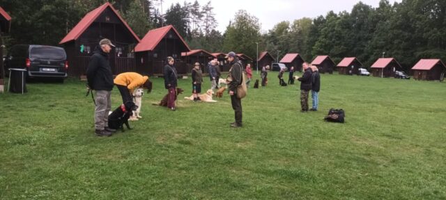 566213251_1264157375513471_8709879811218070803_n