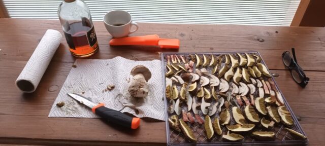 566301290_1264156938846848_8935258255212326110_n