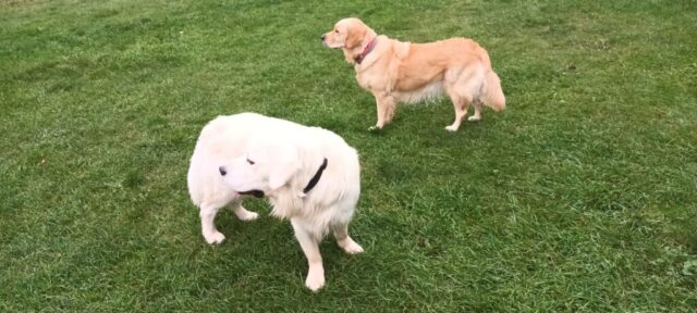 566377613_1264157722180103_6510758511636458130_n