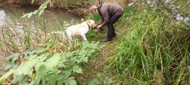 567971072_1264156288846913_3803940782149038739_n