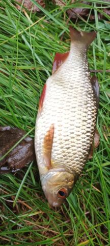 568278339_1264156788846863_8470117528949407923_n