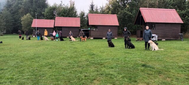 568665806_1264157052180170_8484790115803067079_n