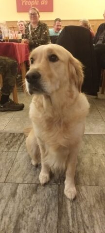 568752253_1264157305513478_2996252869446269420_n