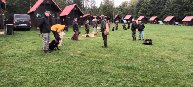 568918004_1264156625513546_3541413101592703951_n