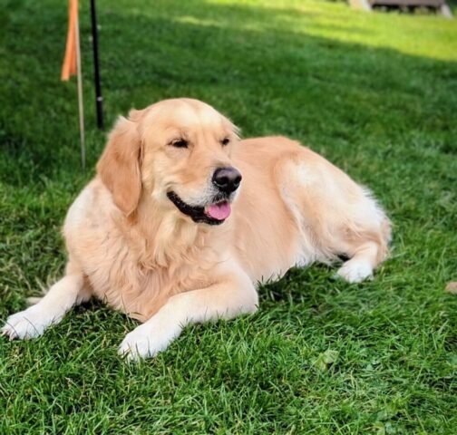 569292832_1264155698846972_4256238518047388889_n