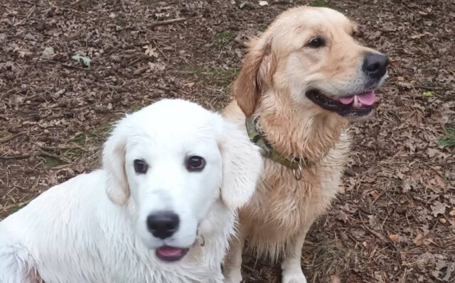 570061642_1264154372180438_6450816490734047079_n