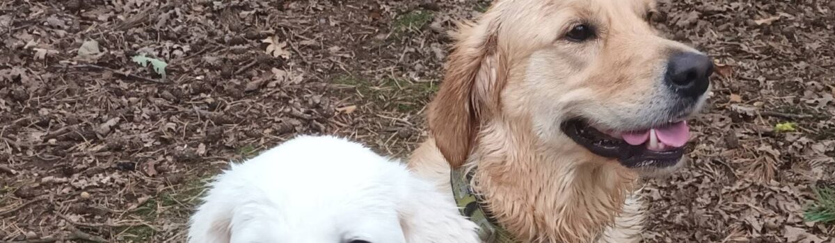 Výcvikový kemp V | 25. – 28.9.2025